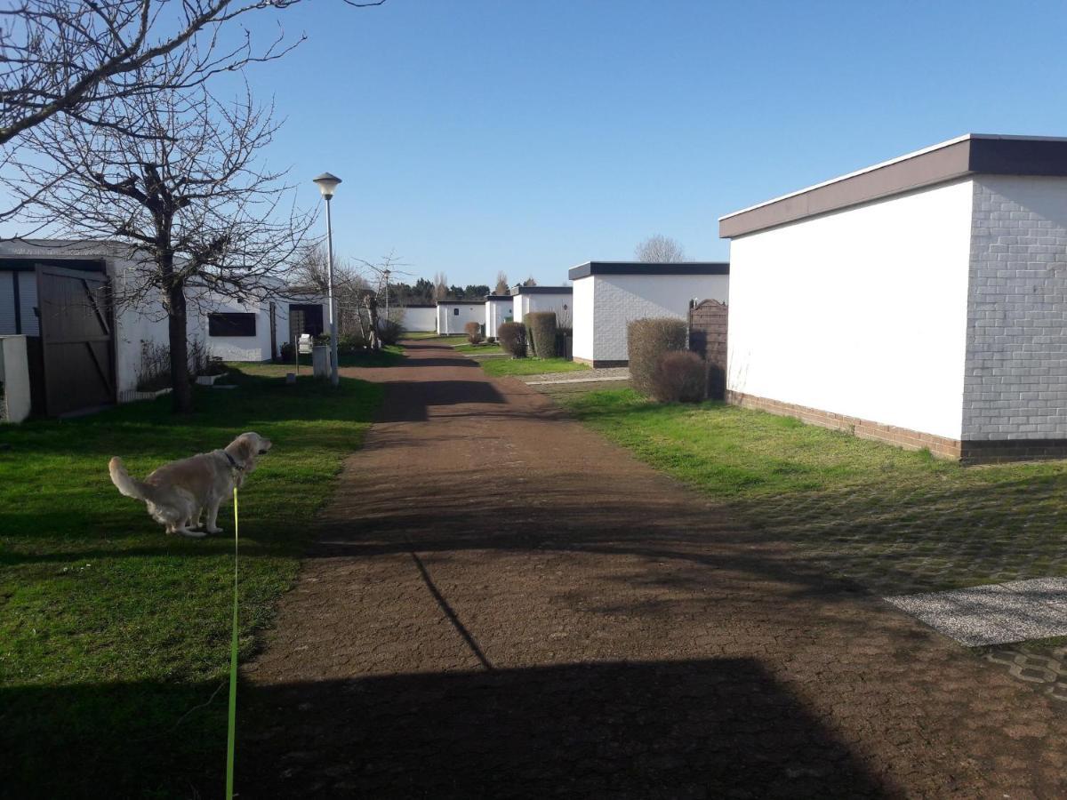Le Petit Blekker Koksijde Exterior foto